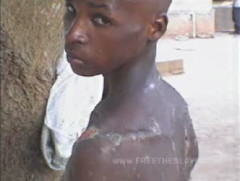 Free the Slaves